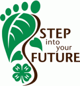 Step into your Future 4-H